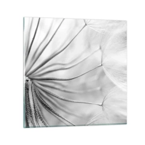 Impression sur verre - Image sur verre - Aigrette avant son envol - 50x50 cm