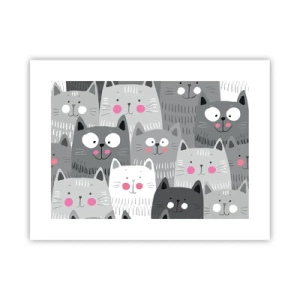 Affiche - Poster - Le monde des chats - 40x30 cm