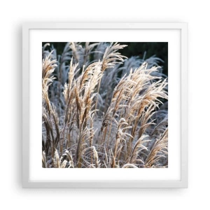 Affiche dans un cadre blanc - Poster - Habillé de givre - 40x40 cm