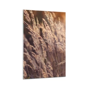 Impression sur verre - Image sur verre - Herbes dorées sur fond de soleil couchant - 70x100cm - Prêt à accueillir l'automne - Décoration murale moderne pour le salon et la chambre ARTTOR
