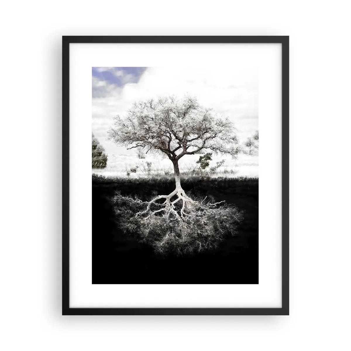 Affiche dans un cadre noir - Poster - Découvrir la nature du monde - 40x50 cm