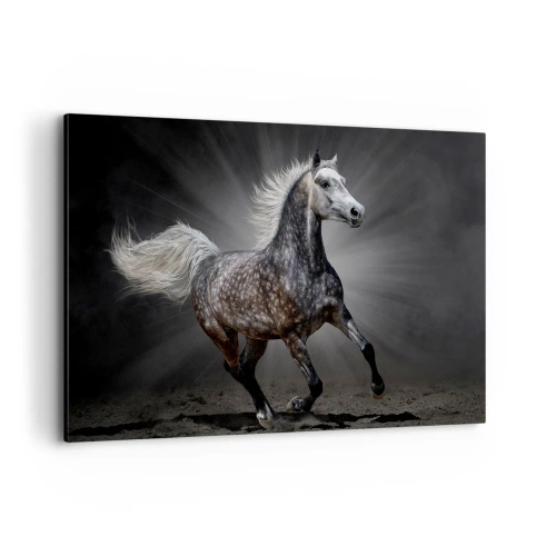 Impression sur toile - Image sur toile - Un cheval blanc galopant sur un fond sombre - 120x80cm - Le gris est beau - Décoration murale moderne pour le salon et la chambre ARTTOR