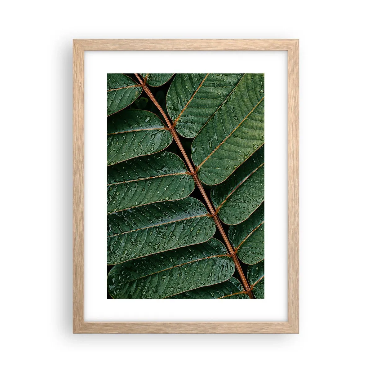 Affiche dans un chêne clair - Poster - Au rythme de la verdure - 30x40 cm