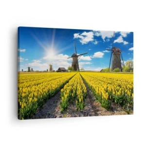 Impression sur toile - Image sur toile - Un champ de tulipes jaunes avec des moulins à vent à l'horizon - 70x50cm - Ça ne pourrait pas être plus hollandais - Décoration murale moderne pour le salon et la chambre ARTTOR
