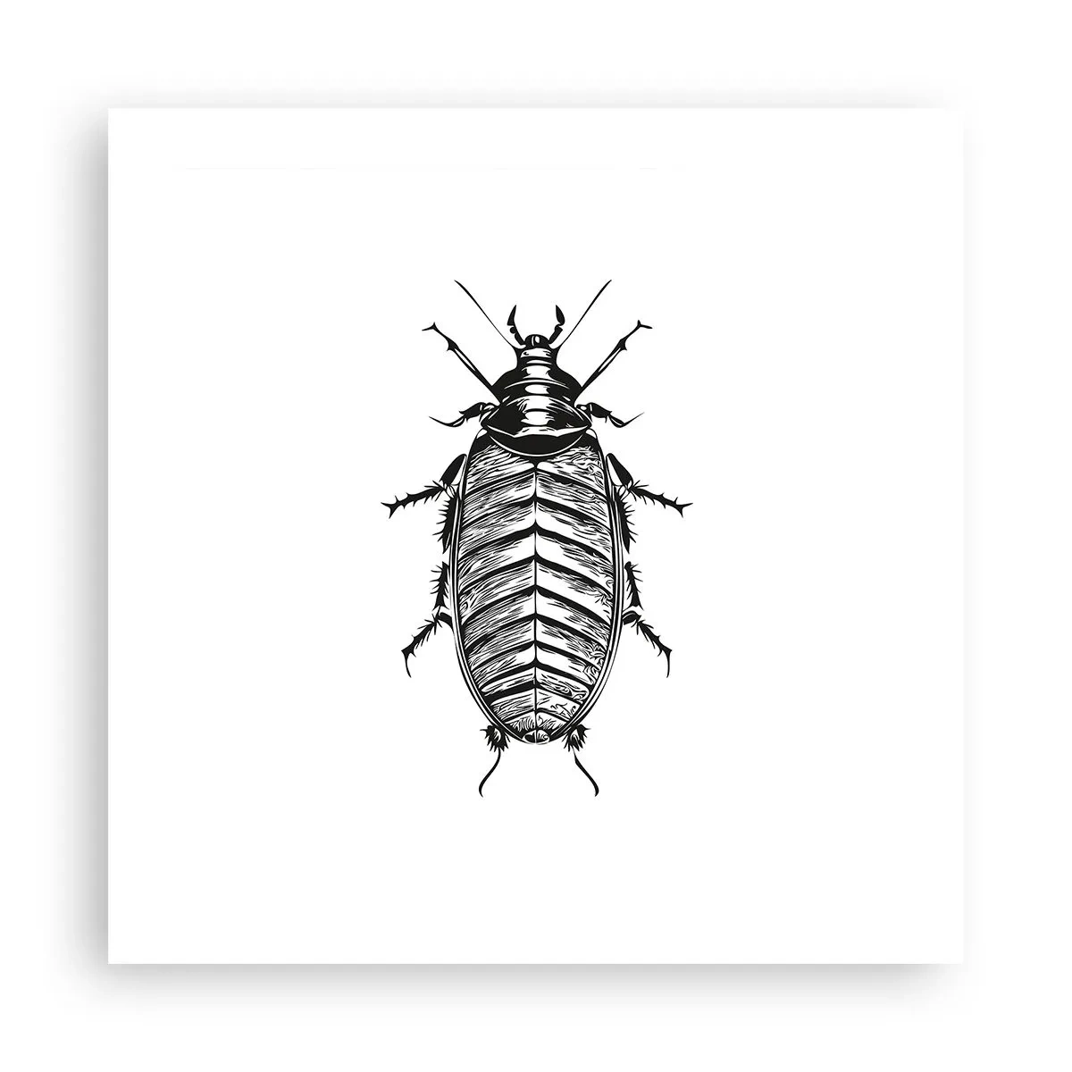 Affiche - Poster - Quel spécimen! - 50x50 cm