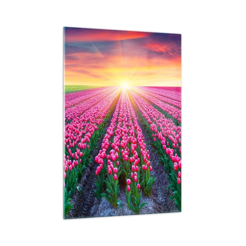 Impression sur verre - Image sur verre - Un champ de tulipes au coucher du soleil - 70x100cm - Ferme de la beauté - Décoration murale moderne pour le salon et la chambre ARTTOR