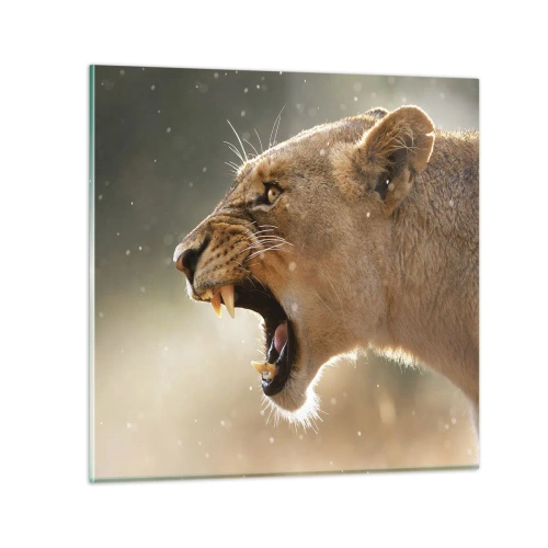 Impression sur verre - Image sur verre - Essayez  de ne pas écouter - 60x60 cm