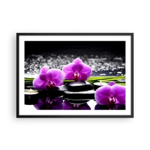 Affiche dans un cadre noir - Poster - Orchidées violettes sur fond de pierres et de bougies dans un cadre relaxant - 70x50cm - Se noyer dans la paix et la tranquillité - Décoration murale moderne pour le salon et la chambre ARTTOR