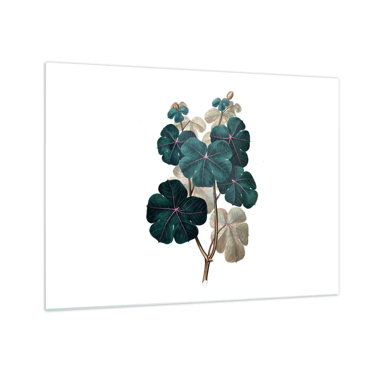 Impression sur verre - Image sur verre - Illustration botanique de feuilles vertes sur fond blanc - 70x50cm - De l'ancien herbier - Décoration murale moderne pour le salon et la chambre ARTTOR