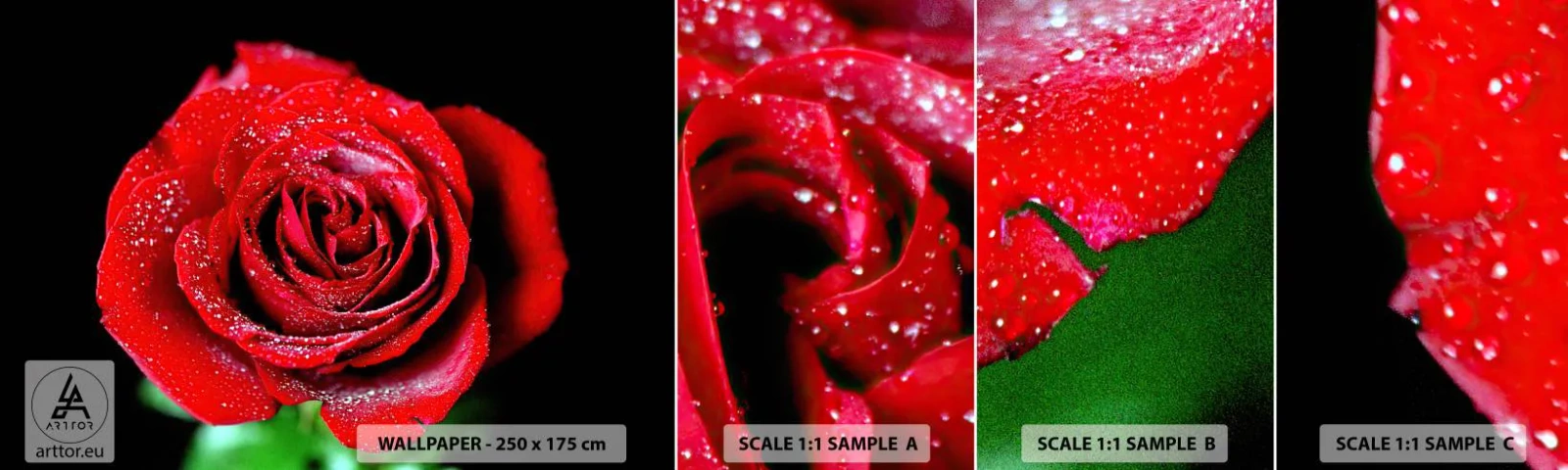 Échantillon De Papier Peint Standard Eco - C'est ça l'amour - Fleurs, Rose rouge, Pétales de rose - 100x30 cm