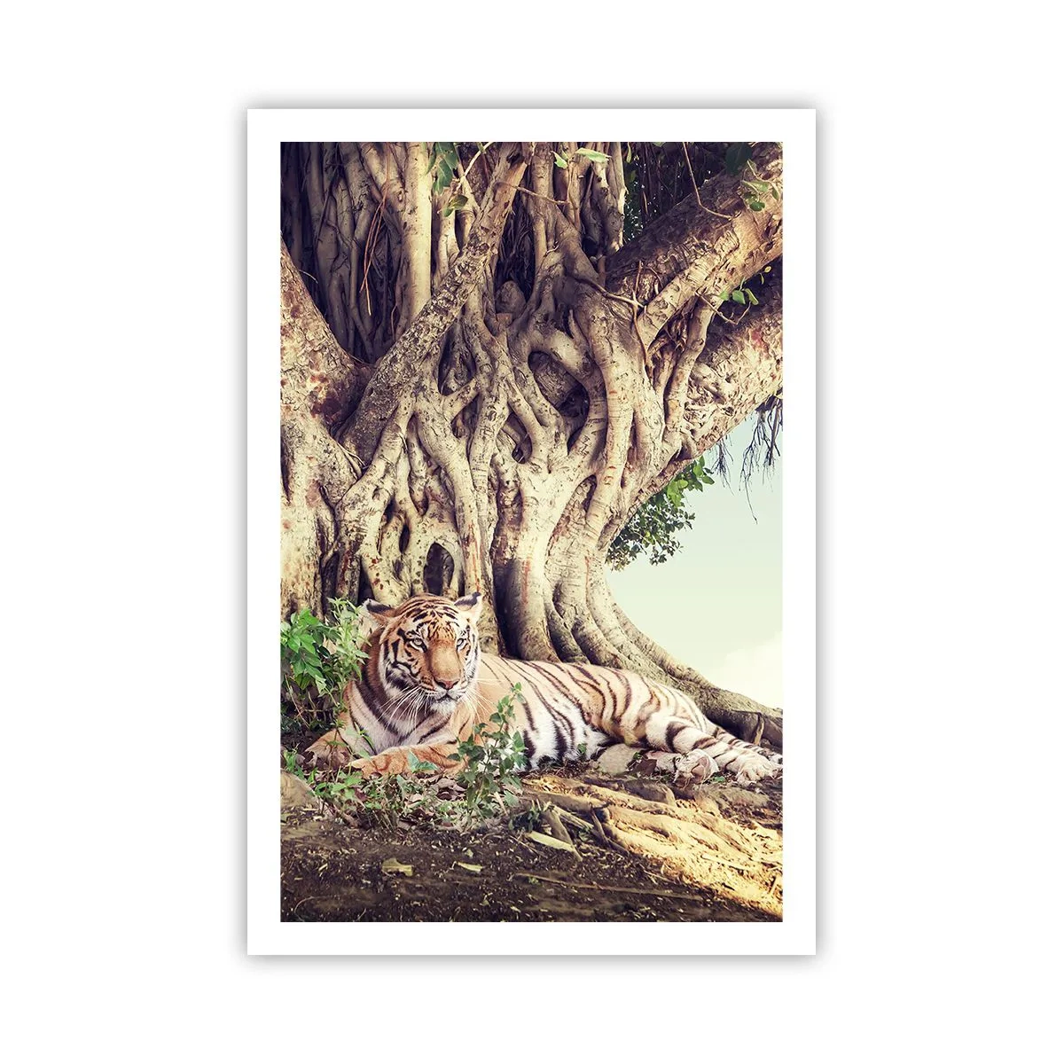 Affiche - Poster - Vue du Livre de la Genèse - 61x91 cm