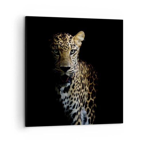 Impression sur toile - Image sur toile - Beauté sombre - 50x50 cm
