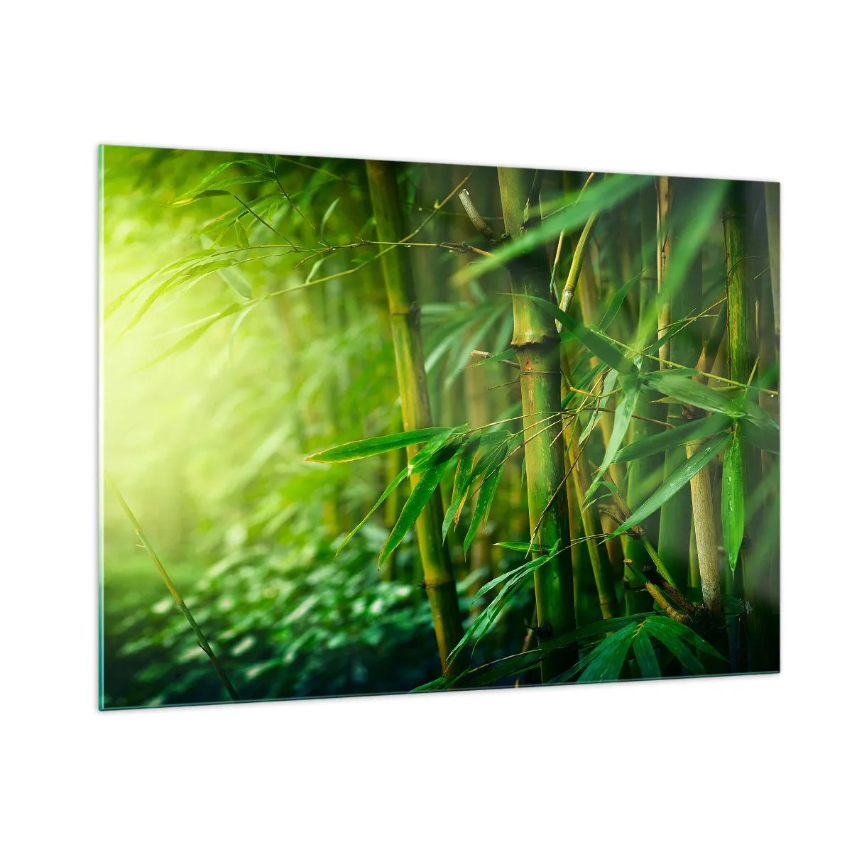 Impression sur verre - Image sur verre - Forêt de bambous verts au soleil - 100x70cm - Apprenez à connaître le vert lui-même - Décoration murale moderne pour le salon et la chambre ARTTOR