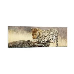 Impression sur verre - Image sur verre - Un léopard se reposant sur un tronc d'arbre dans la savane - 160x50cm - Je suis ma propre route - Décoration murale moderne pour le salon et la chambre ARTTOR