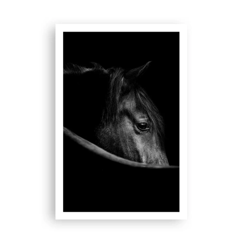 Affiche - Poster - Prince Noir - 61x91 cm