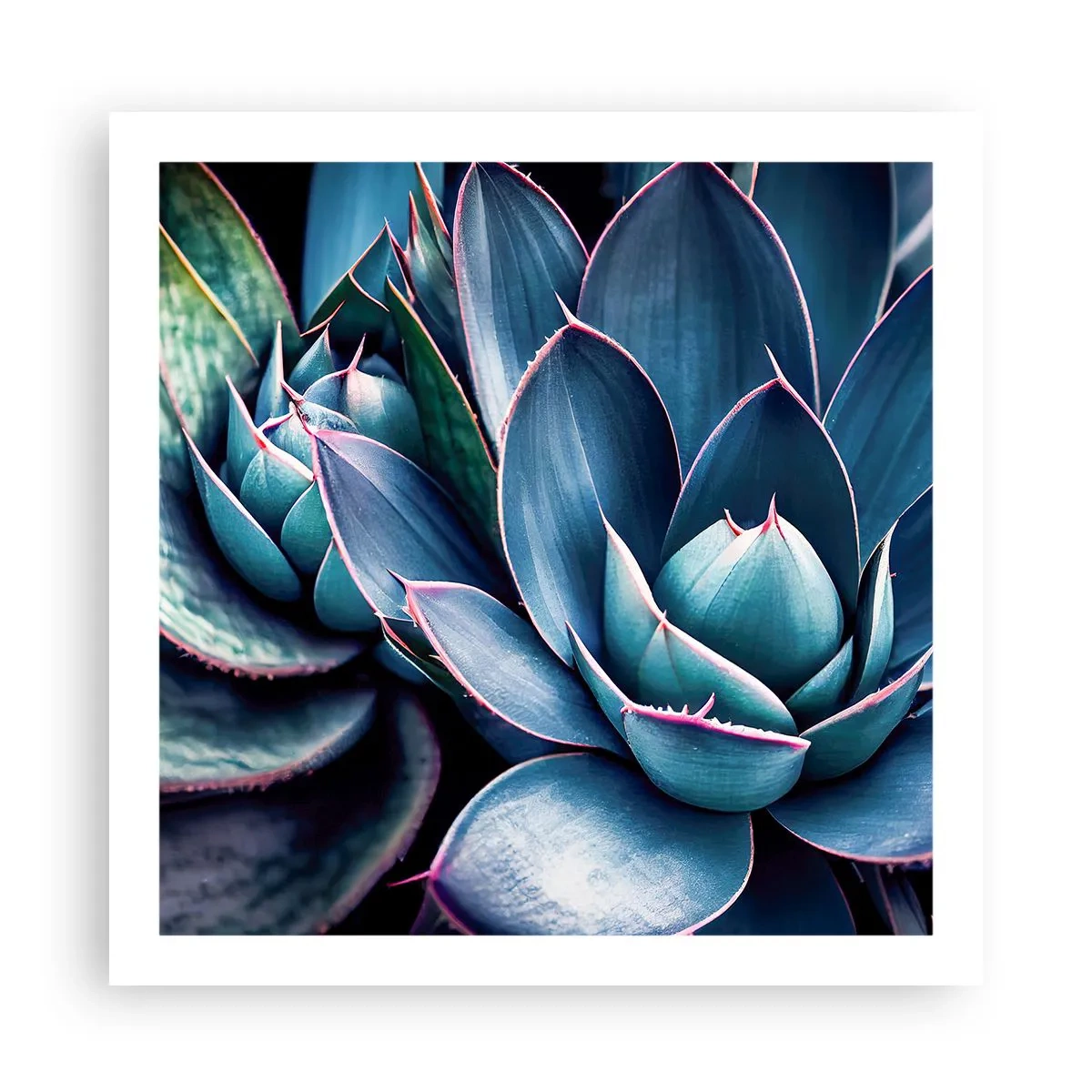 Affiche - Poster - Force vital - 60x60 cm