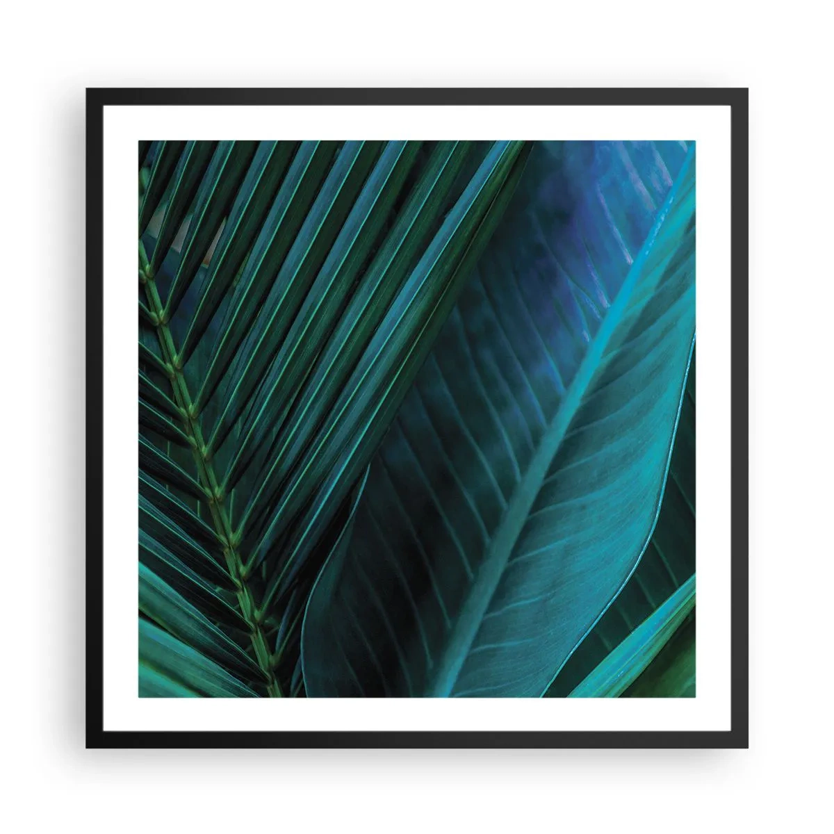 Affiche dans un cadre noir - Poster - L'anatomie du vert - 60x60 cm