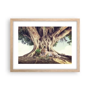 Affiche dans un chêne clair - Poster - Vue du Livre de la Genèse - 40x30 cm