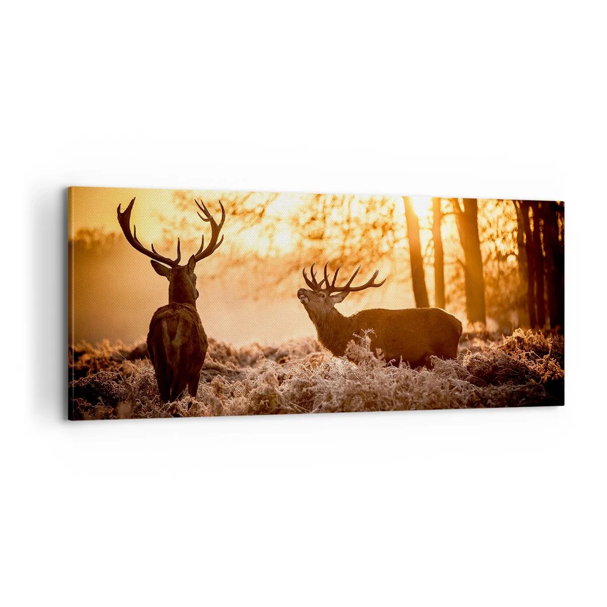 Impression sur toile - Image sur toile - Le rêve d'un chasseur - 100x40 cm