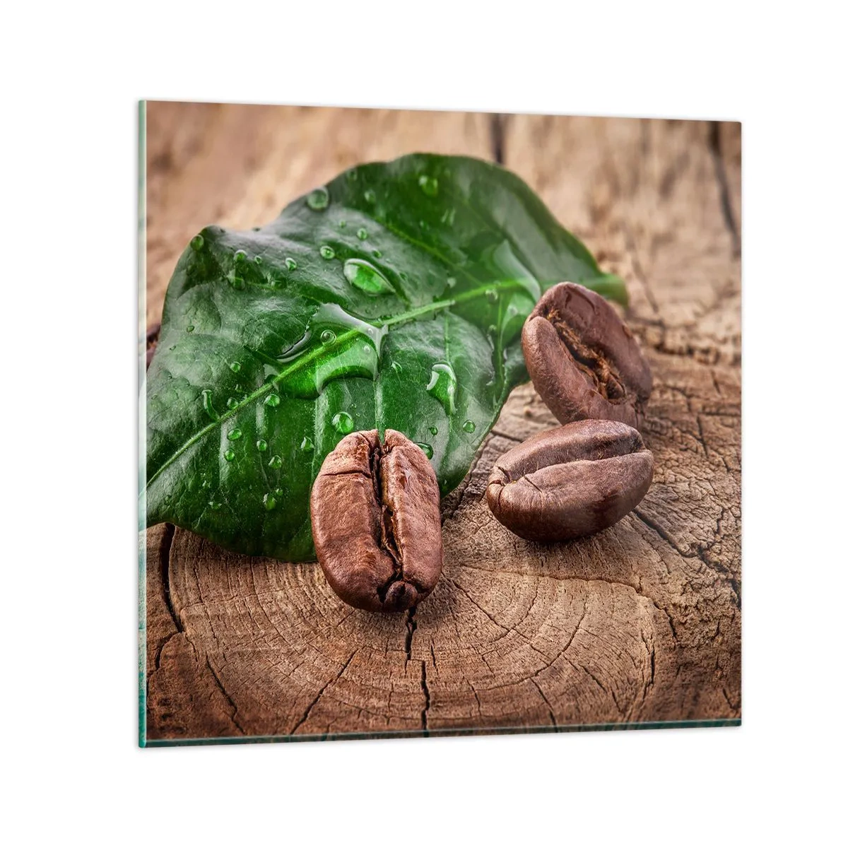 Impression sur verre - Image sur verre - La plus vraie et noire - 30x30 cm