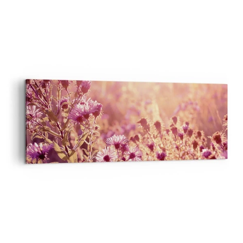 Impression sur toile - Image sur toile - Prairie à la lumière du soleil couchant - 140x50cm - Avant que l'été ne parte - Décoration murale moderne pour le salon et la chambre ARTTOR