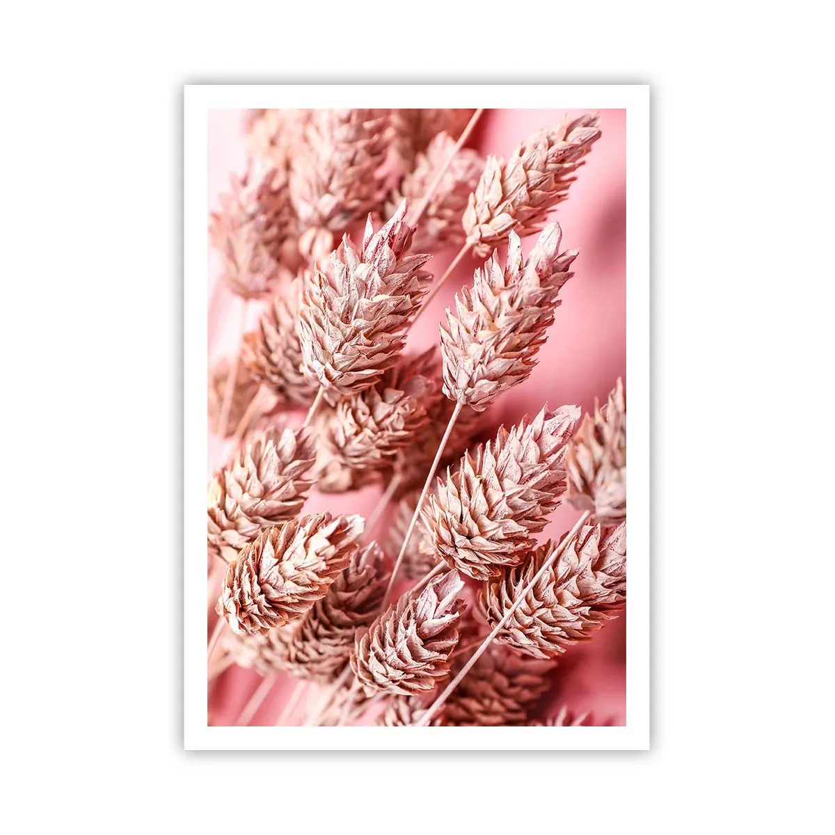 Affiche - Poster - Une cascade florale en rose - 70x100 cm