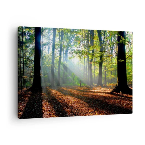 Impression sur toile - Image sur toile - Une clairière forestière illuminée par les rayons du soleil - 70x50cm - Ombres et lumières - Décoration murale moderne pour le salon et la chambre ARTTOR