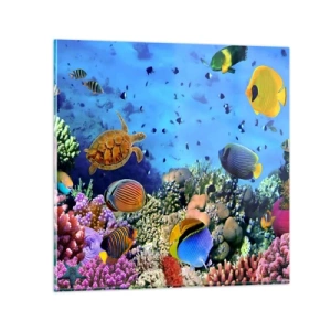 Impression sur verre - Image sur verre - Et que sait-on de la vie… - 40x40 cm