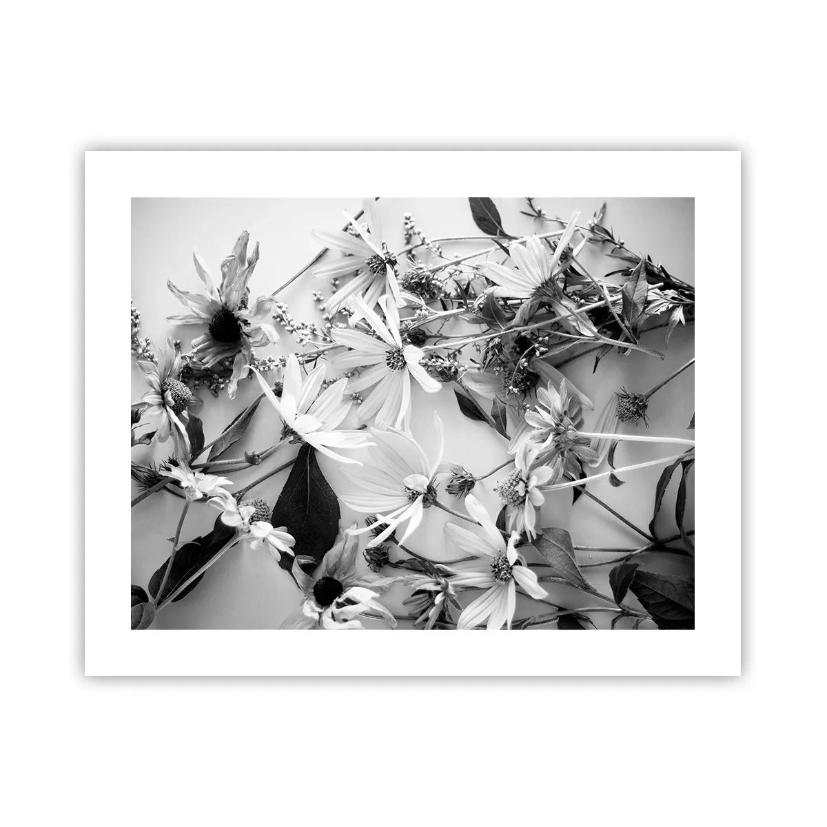 Affiche - Poster - Non-un bouquet de fleurs - 50x40 cm