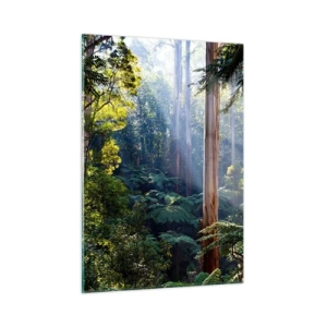 Impression sur verre - Image sur verre - Forêt tropicale verte avec des rayons de soleil - 50x70cm - Fable de la forêt - Décoration murale moderne pour le salon et la chambre ARTTOR