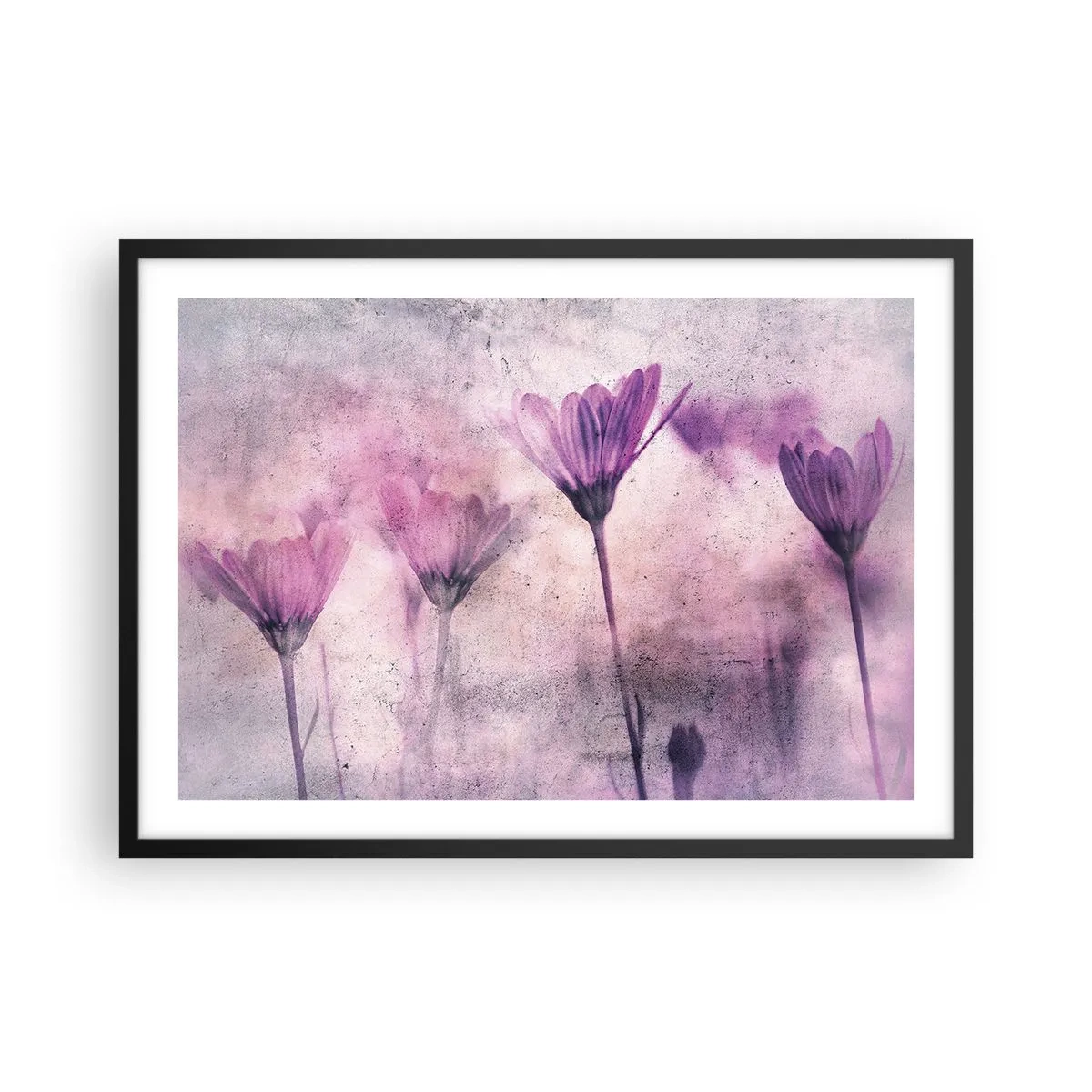Affiche dans un cadre noir - Poster - Fleurs délicates dans des tons violets sur fond clair - 70x50cm - Rêve de fleurs - Décoration murale moderne pour le salon et la chambre ARTTOR