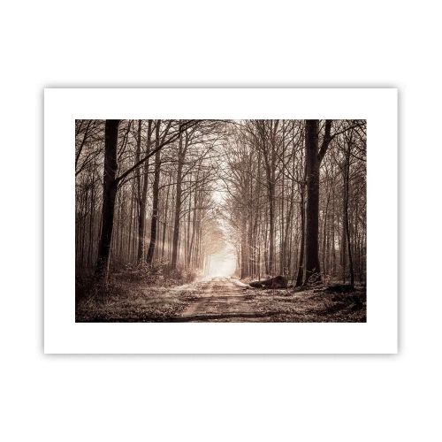 Affiche - Poster - Cathédrale de la forêt - 40x30 cm