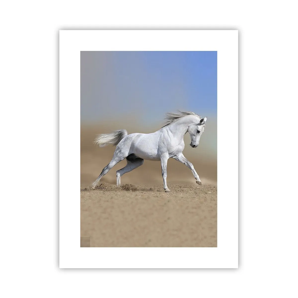 Affiche - Poster - Le plus beau conte de fées arabe - 30x40 cm