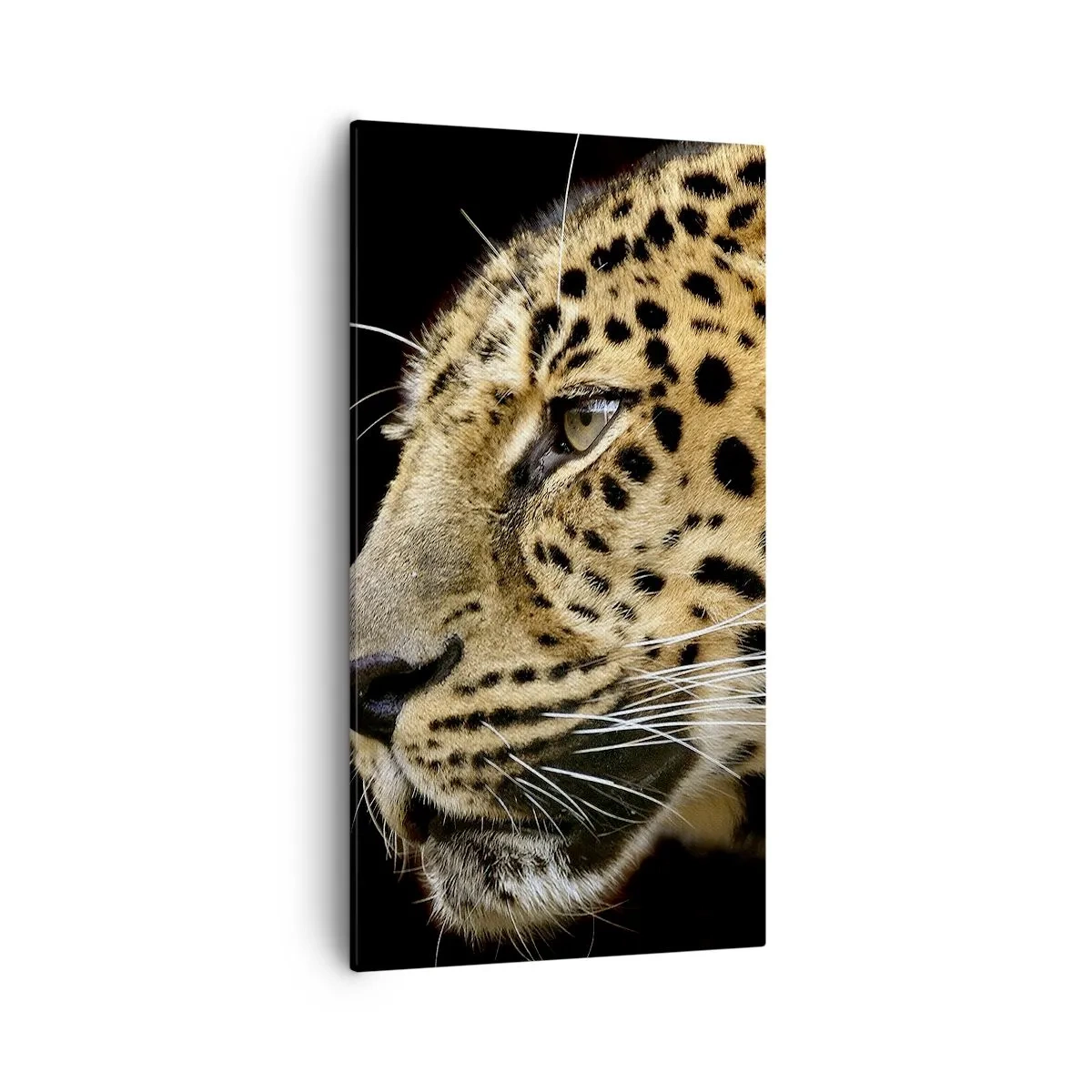 Impression sur toile - Image sur toile - Calme, concentré, prêt - 55x100 cm