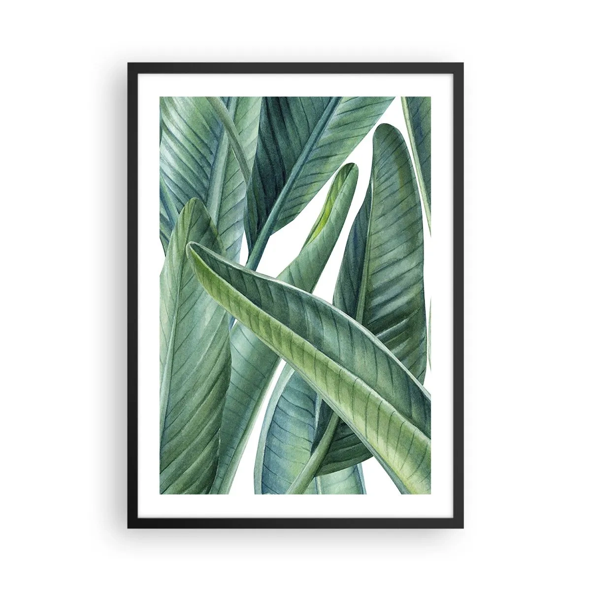 Affiche dans un cadre noir - Poster - Feuilles de bananier vertes à l'aquarelle - 50x70cm - La nature face à elle-même - Décoration murale moderne pour le salon et la chambre ARTTOR