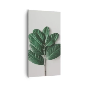 Impression sur toile - Image sur toile - Dessin de la nature elle-même - 65x120 cm