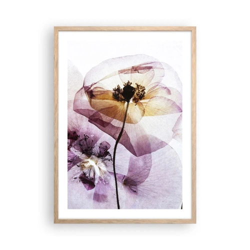 Affiche dans un chêne clair - Poster - Corps de fleurs transparente - 50x70 cm