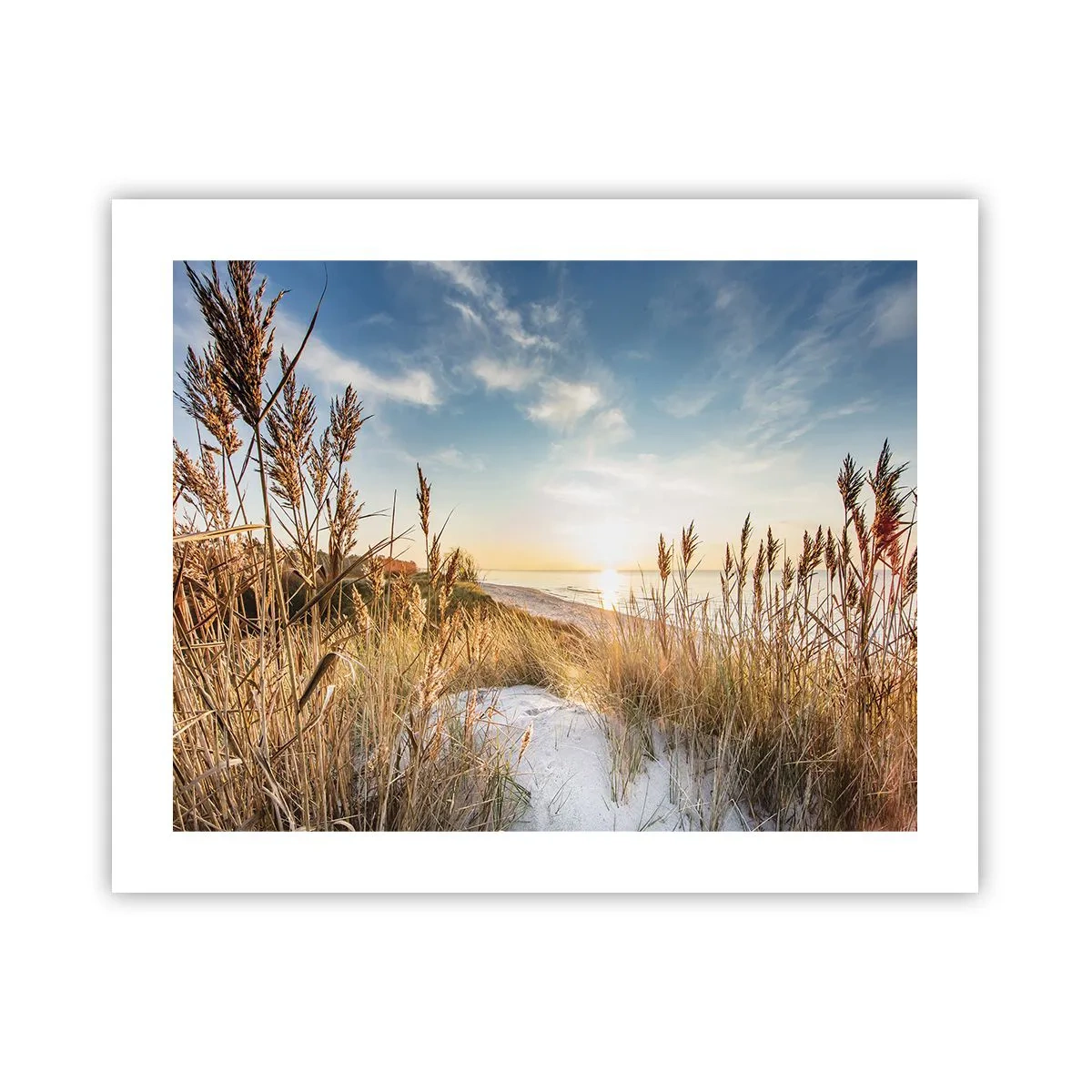 Affiche - Poster - Plage du nord - 50x40 cm