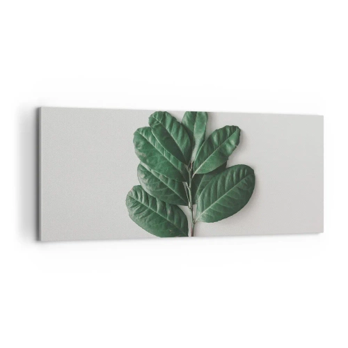 Impression sur toile - Image sur toile - Dessin de la nature elle-même - 100x40 cm