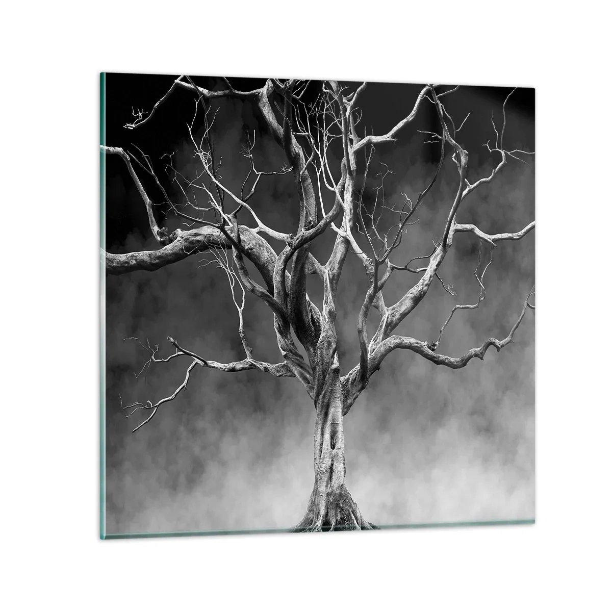 Impression sur verre - Image sur verre - Primordial et sacré - 50x50 cm