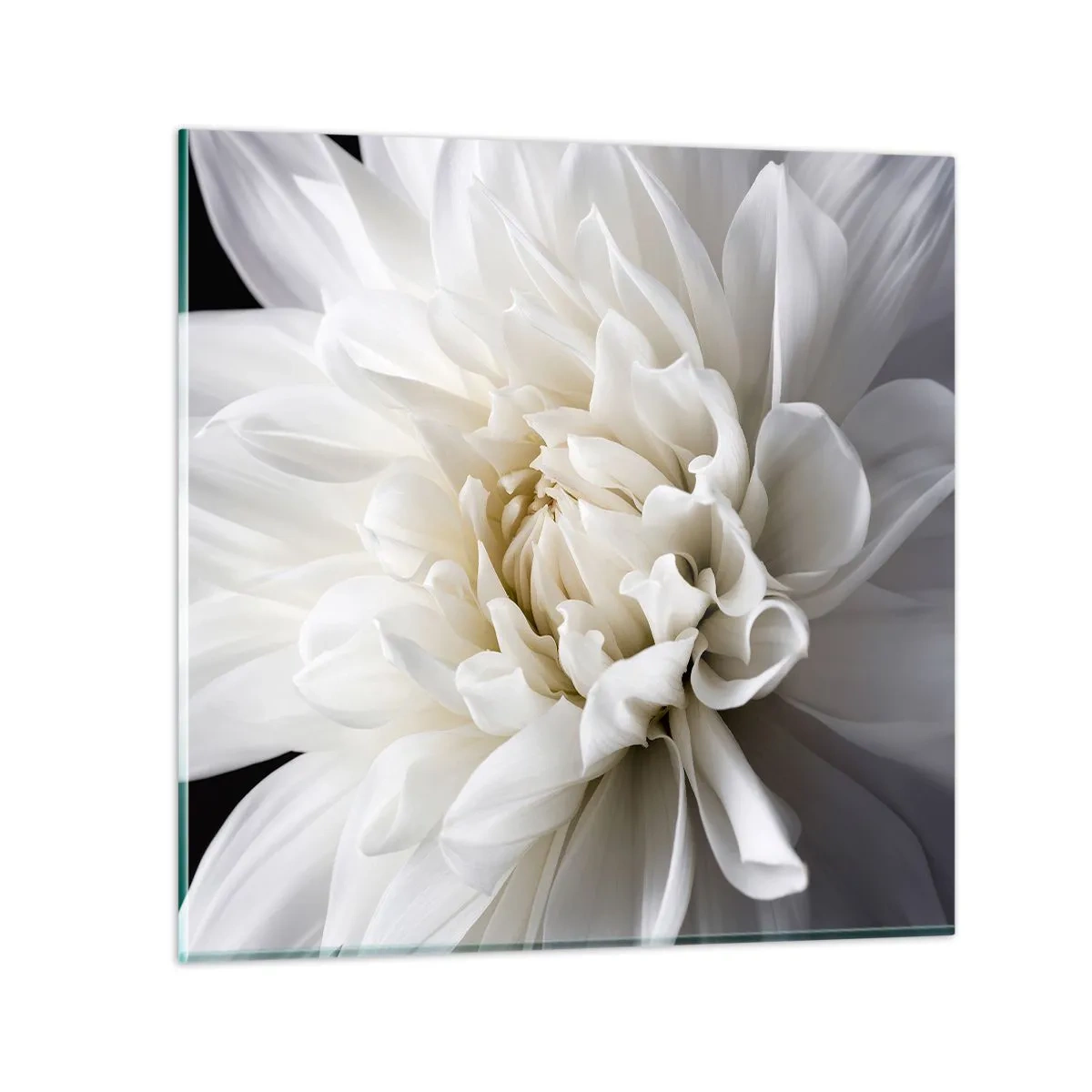 Impression sur verre - Image sur verre - Le matin de la jeune mariéé - 70x70 cm