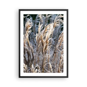 Affiche dans un cadre noir - Poster - Herbes séchées couvertes de givre dans un paysage hivernal - 50x70cm - Habillé de givre - Décoration murale moderne pour le salon et la chambre ARTTOR