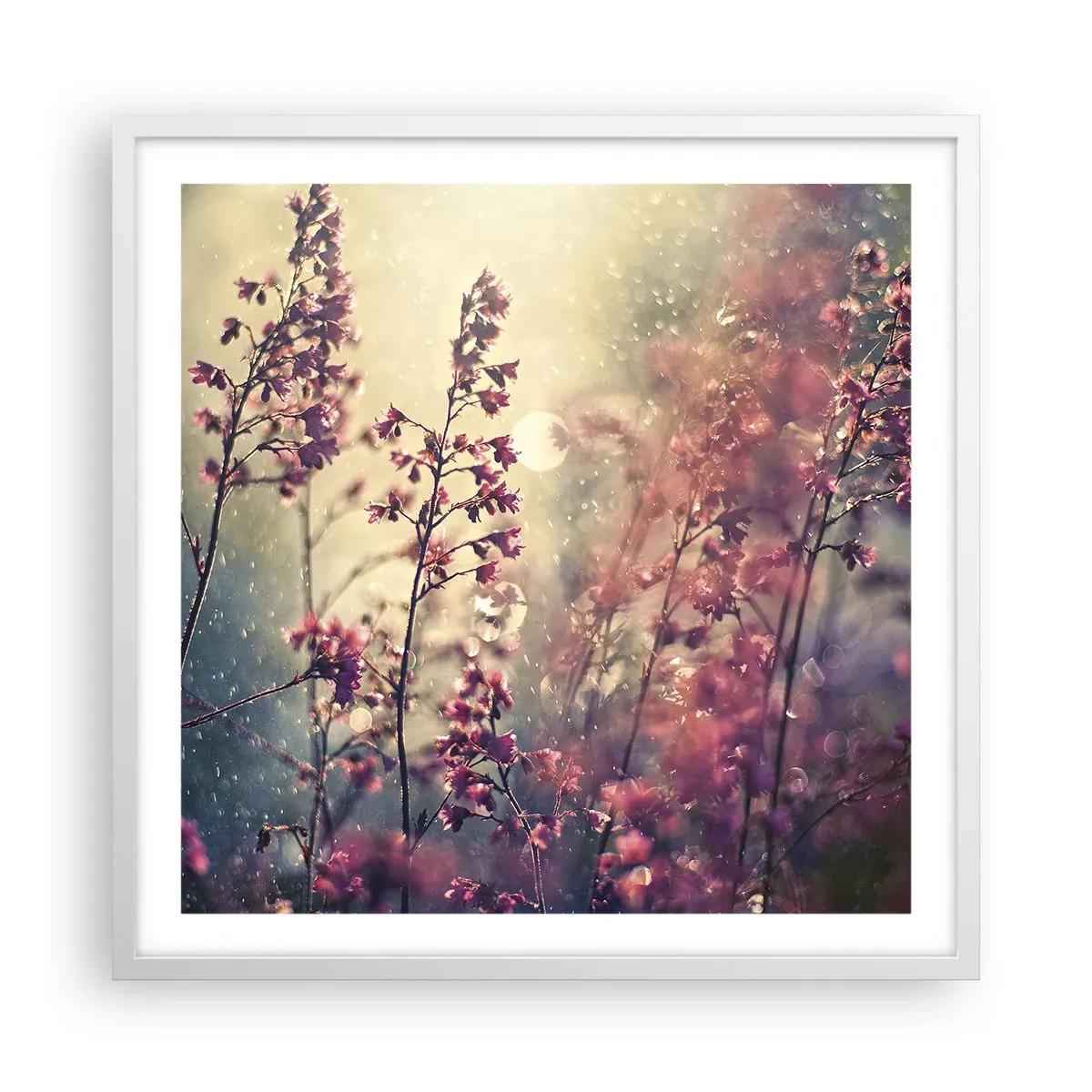 Affiche dans un cadre blanc - Poster - Jardin secret - 60x60 cm