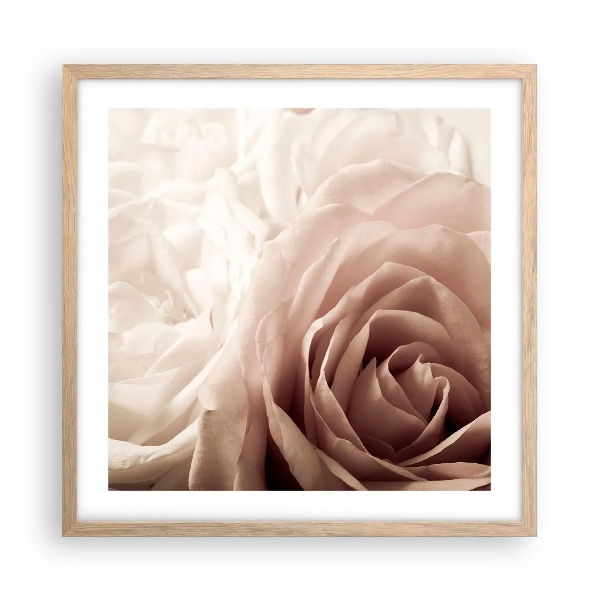 Affiche dans un chêne clair - Poster - Au coeur d'ue la rose - 50x50 cm