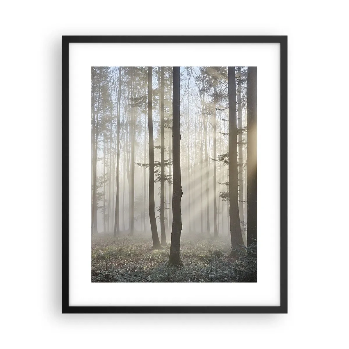Affiche dans un cadre noir - Poster - Le brouillard s'est aussi réveillé - 40x50 cm