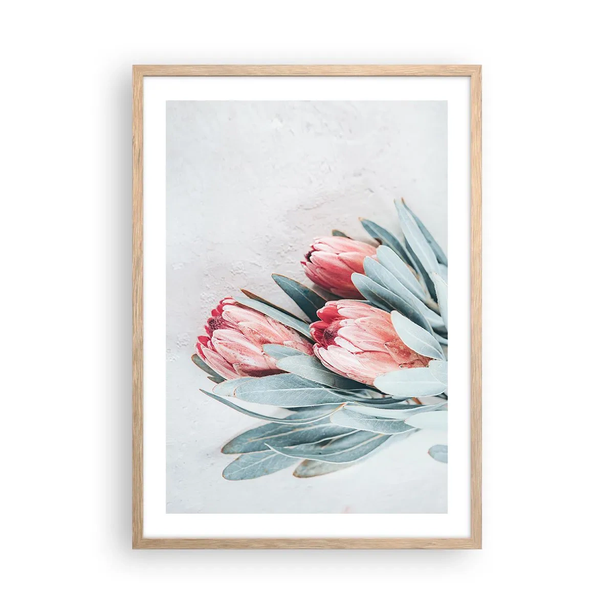 Affiche dans un chêne clair - Poster - Honte de leur propre beauté - 50x70 cm