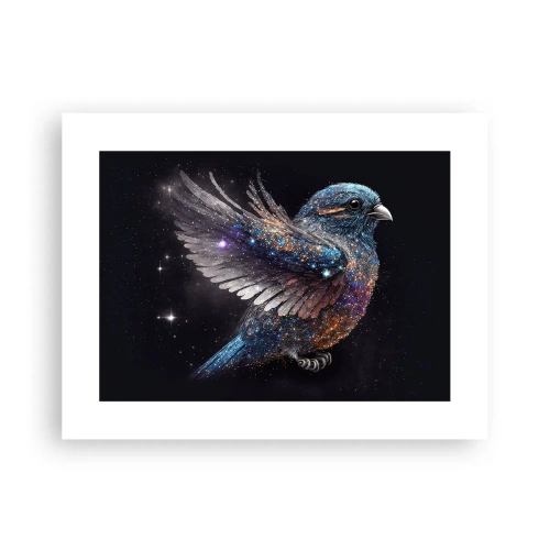 Affiche - Poster - Moineau de diamant - 40x30 cm