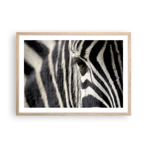 Affiche dans un chêne clair - Poster - Portrait en rayure - 70x50 cm