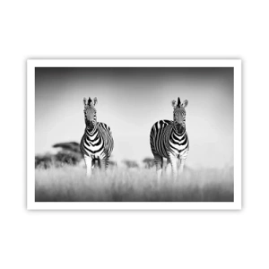Affiche - Poster - Deux zèbres dans la savane dans un style monochrome - 100x70cm - Le monde est bel et bien noir et blanc - Décoration murale moderne pour le salon et la chambre ARTTOR