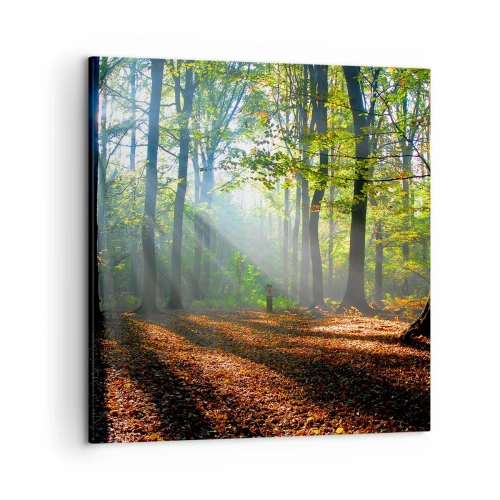 Impression sur toile - Image sur toile - Ombres et lumières - 50x50 cm